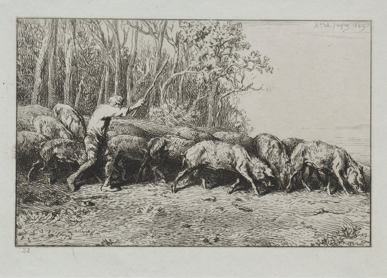 Pórusok csordája jön ki a fából. alkotó: Charles Emile Jacque