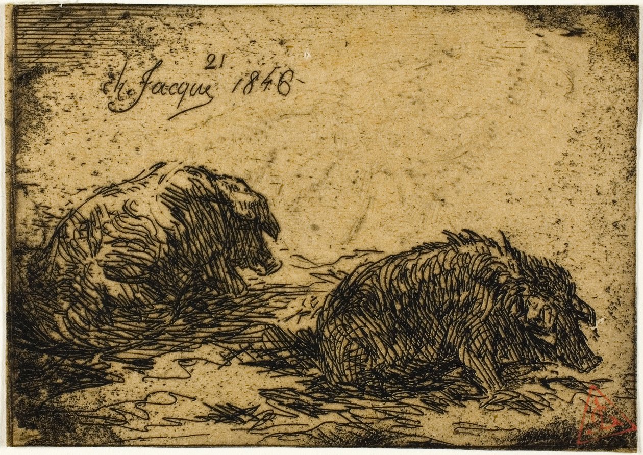 Két disznó fekve alkotó: Charles Emile Jacque