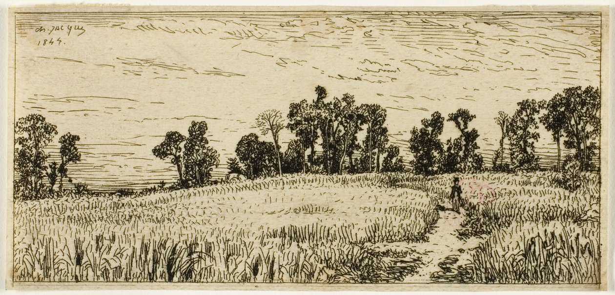 Búzamező alkotó: Charles Emile Jacque