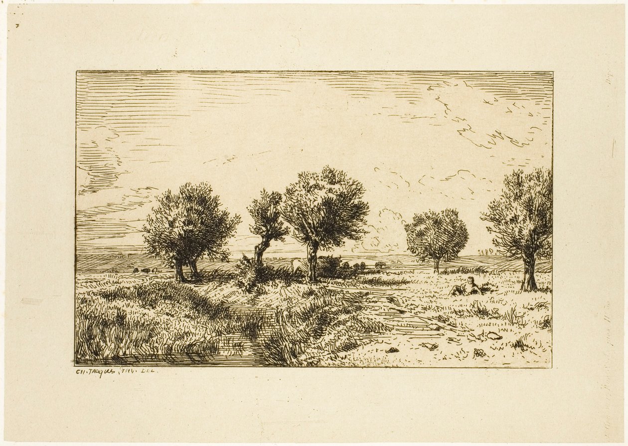 Fűzfa a tájban alkotó: Charles Emile Jacque