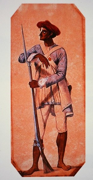 Tipu Szultán, Mysore szultánjának katonája, tűzköves muskétával felfegyverkezve (színes litográfia) alkotó: Charles Emilius (after) Gold