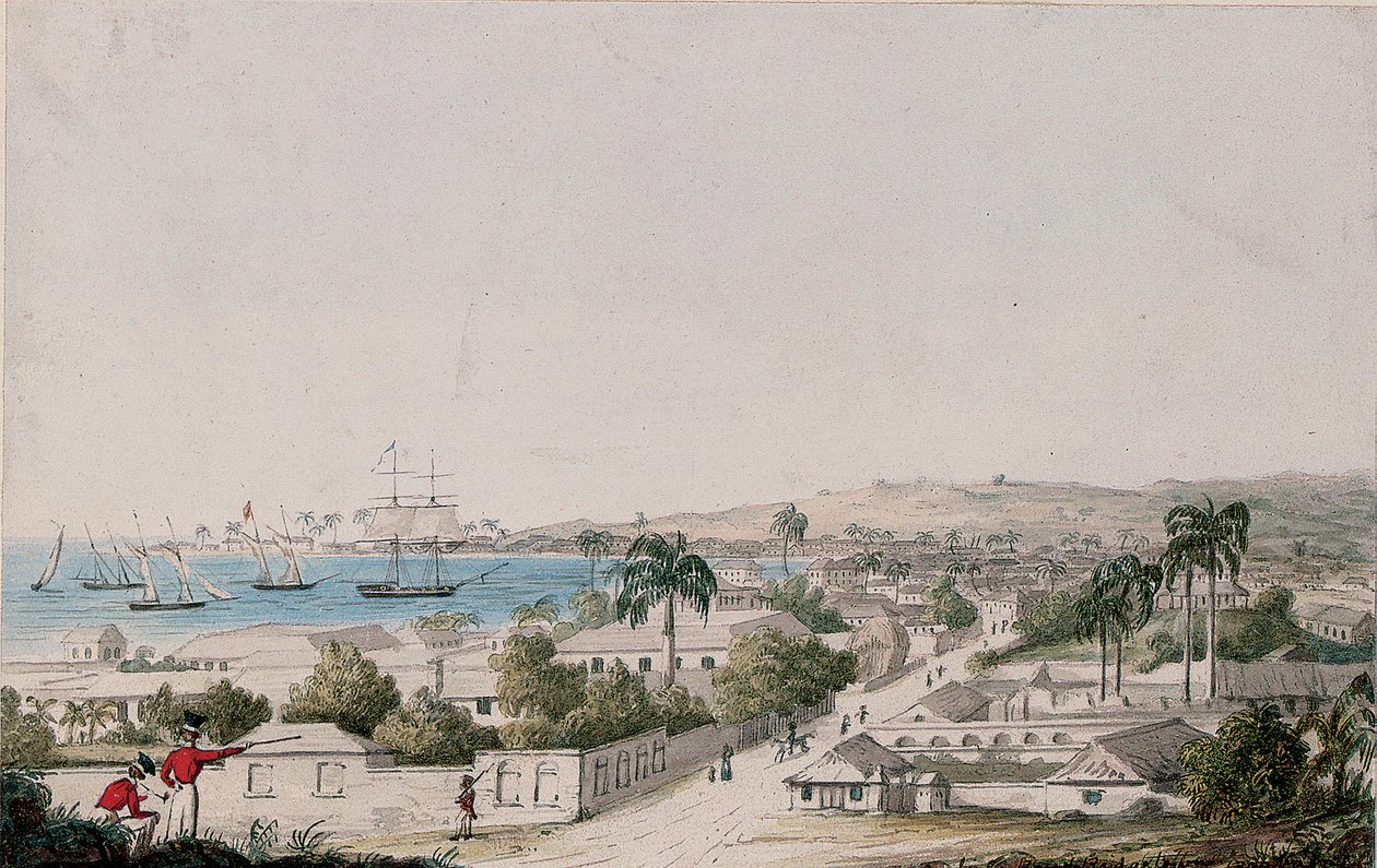 Kilátás a Carlisle-öbölre és a barbadosi Bridgetownra alkotó: Charles Emilius Gold