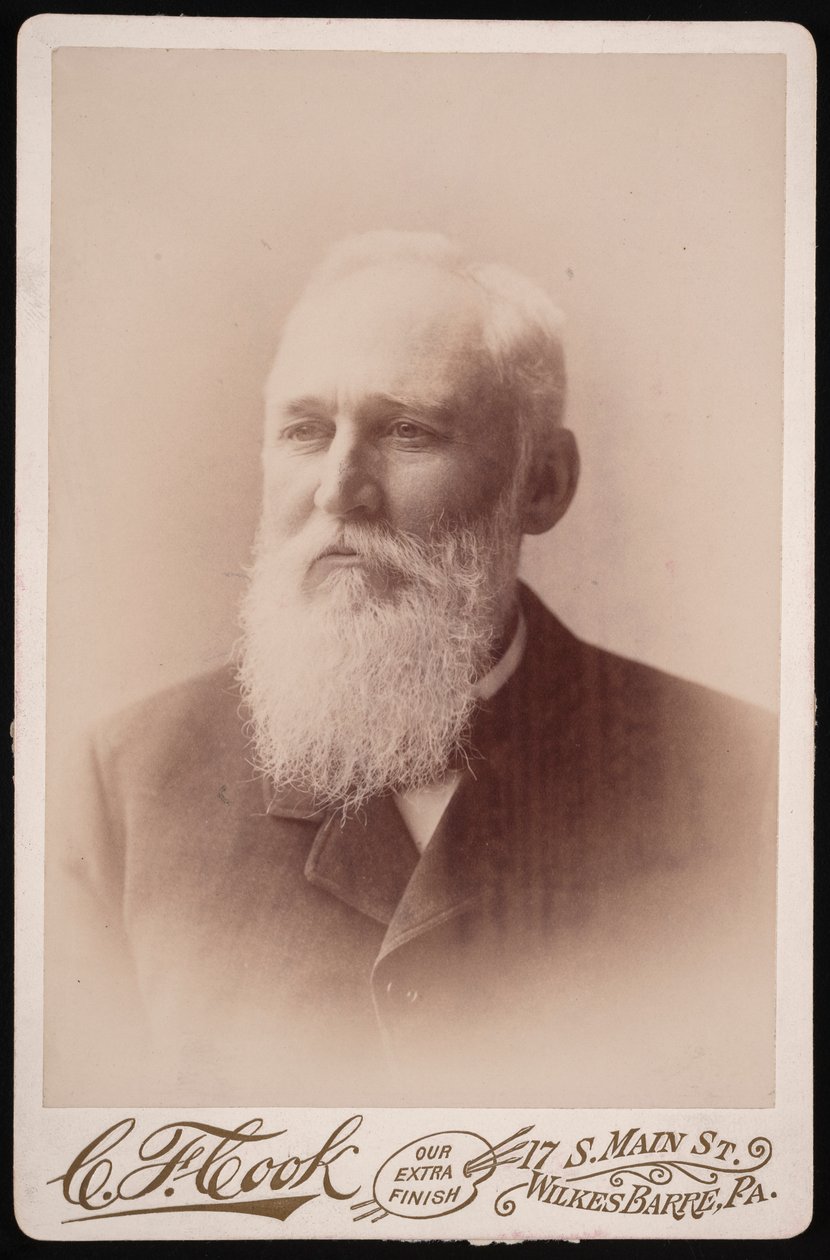 Henry Blackman Plumb portréja 1829-1921, 1894 előtt. alkotó: Charles F Cook