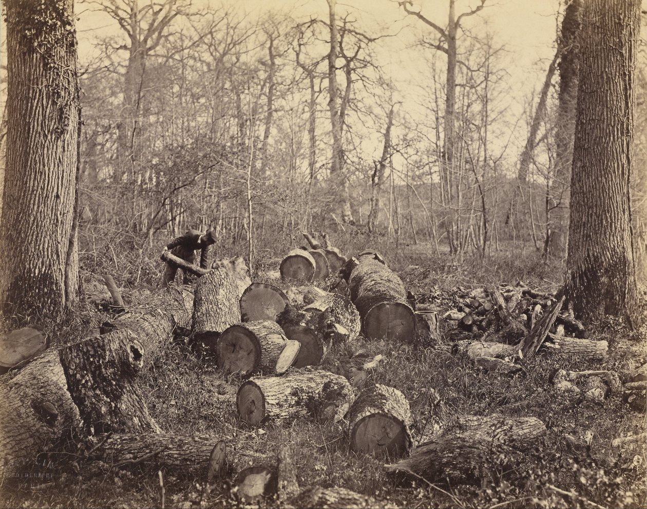 Fontainebleau-i erdő alkotó: Charles Famin