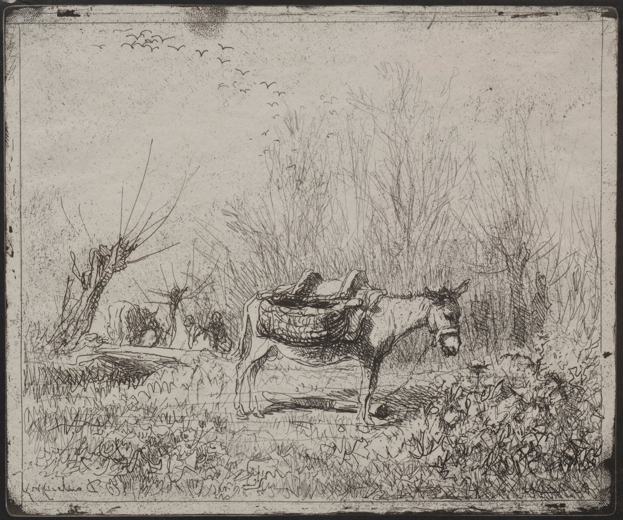 Egy szamár a mezőn alkotó: Charles Francois Daubigny
