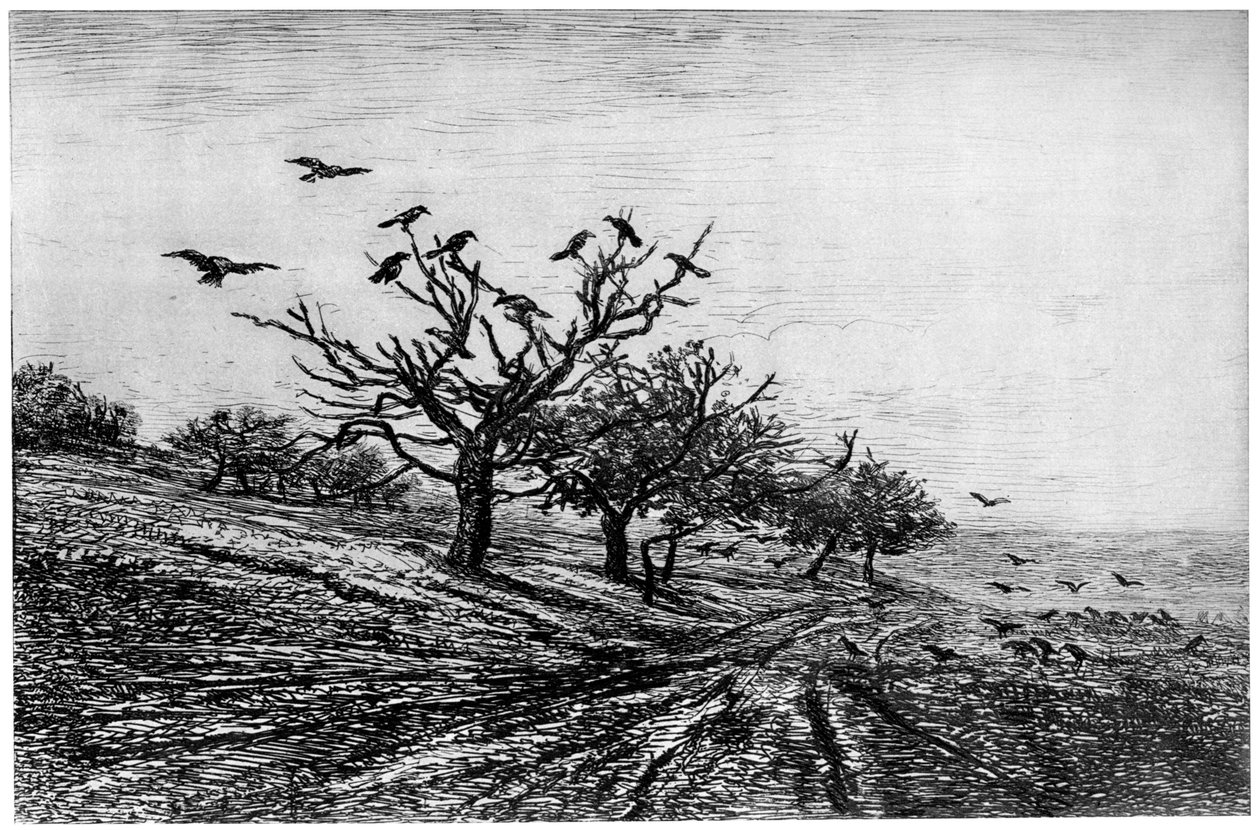Varjúfa, 1840-1875, 1924 alkotó: Charles Francois Daubigny
