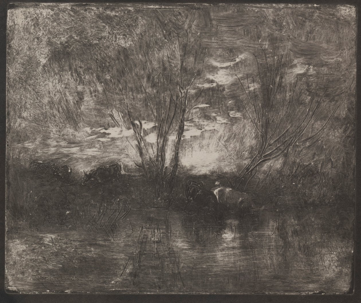 Tehenek itatóhelyen, eredeti lenyomat 1862, nyomtatva 1921-ben. alkotó: Charles Francois Daubigny