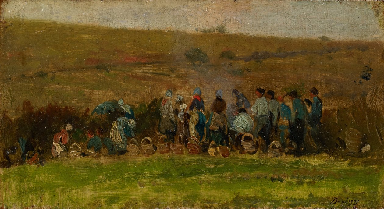 Burgonya betakarítású gazdák (olaj a tölgyre) alkotó: Charles Francois Daubigny