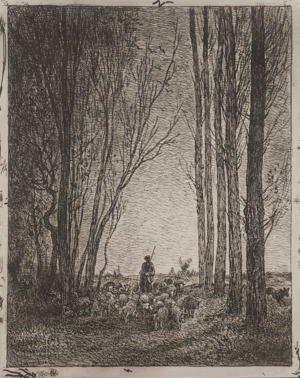 Gathering in the Flock, eredeti lenyomat 1862, nyomtatva 1921-ben. alkotó: Charles Francois Daubigny