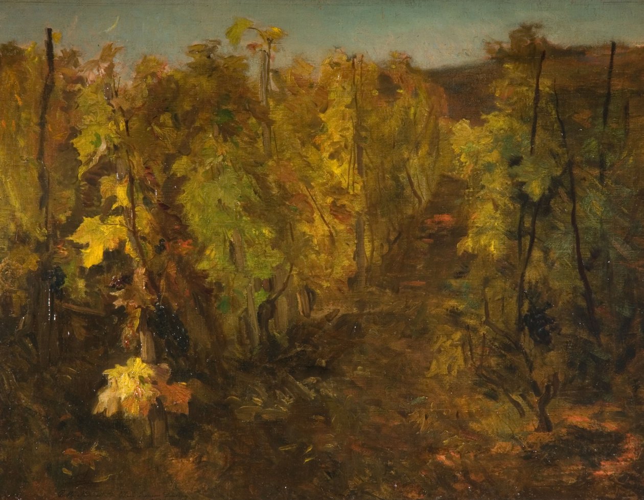 A szőlő, 1860-1863 alkotó: Charles Francois Daubigny