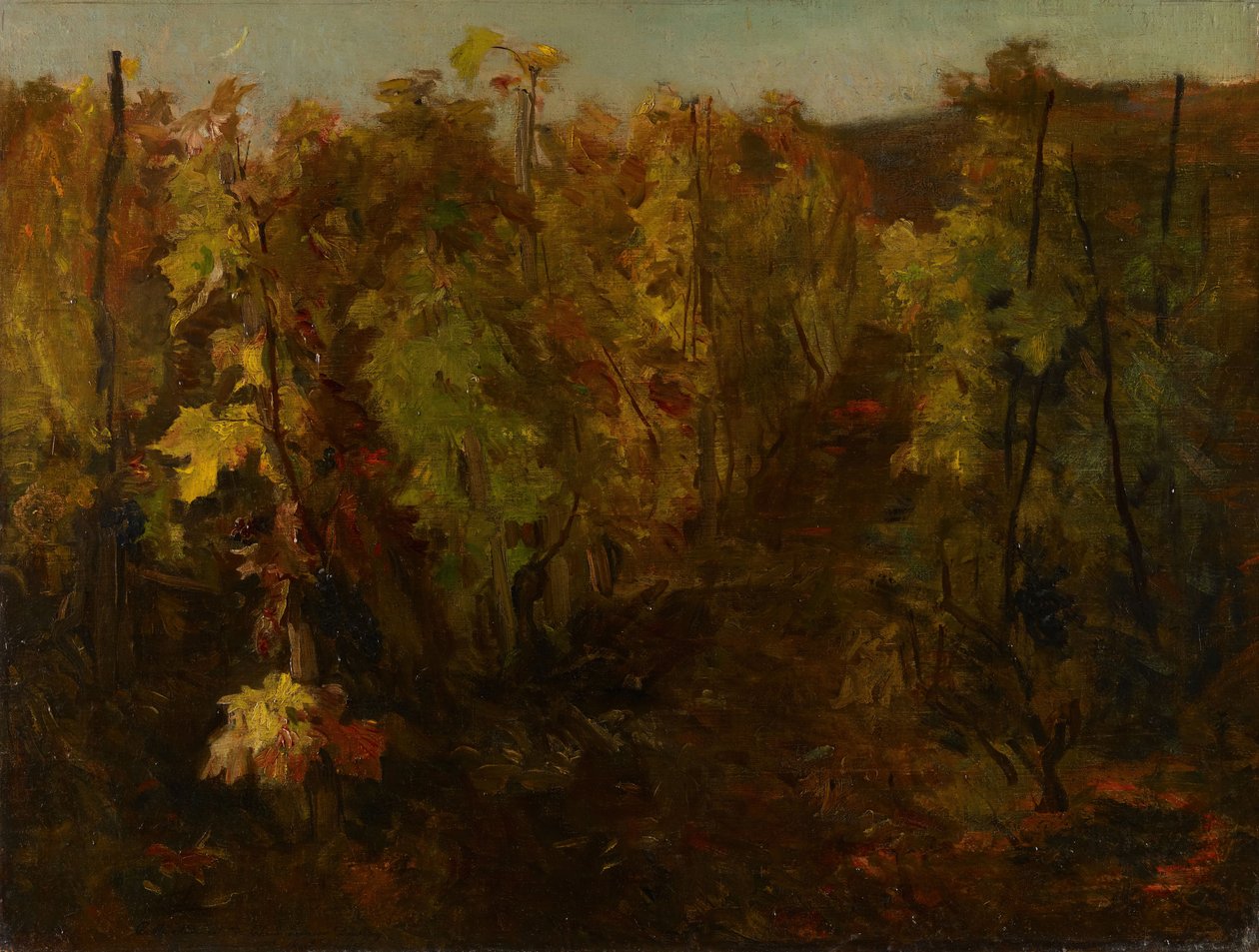 A szőlő, 1860-1863. alkotó: Charles Francois Daubigny