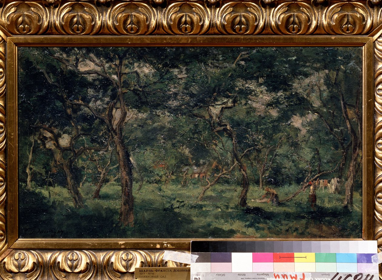 "Az olajfaliget" (Olive Orchard) Charles Francois Daubigny (1817-1878) festménye 1870-1873 Puskin Múzeum, Moszkva alkotó: Charles Francois Daubigny