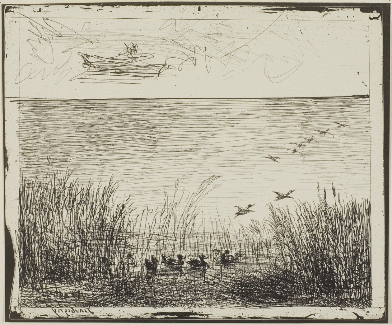 Marsh kacsákkal alkotó: Charles Francois Daubigny