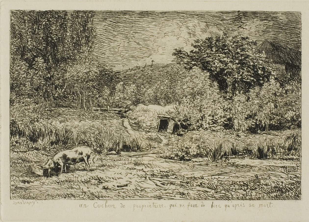 Disznó egy gyümölcsösben alkotó: Charles Francois Daubigny