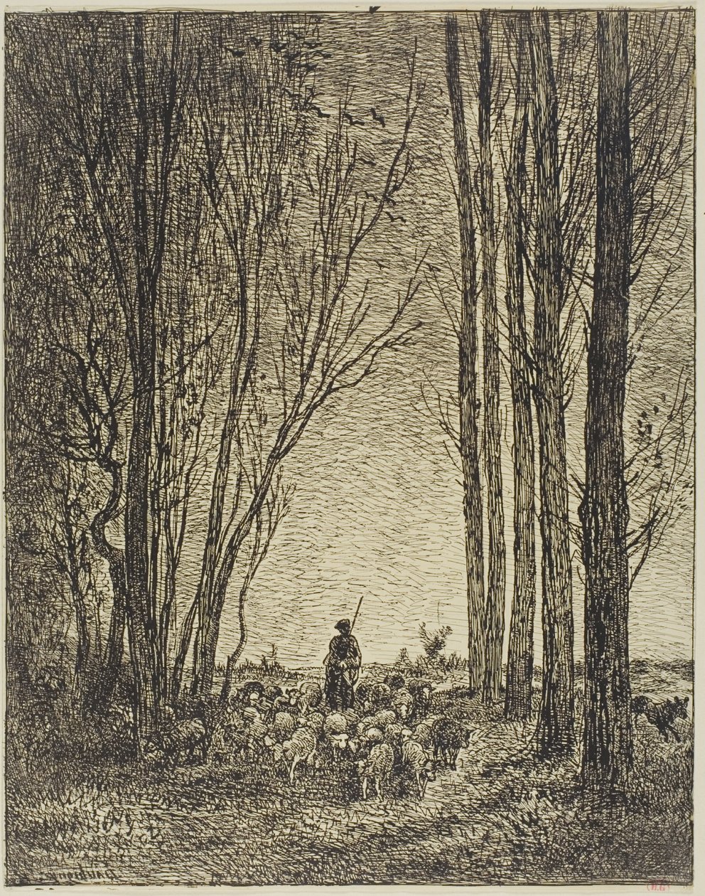A nyáj visszatérése alkotó: Charles Francois Daubigny