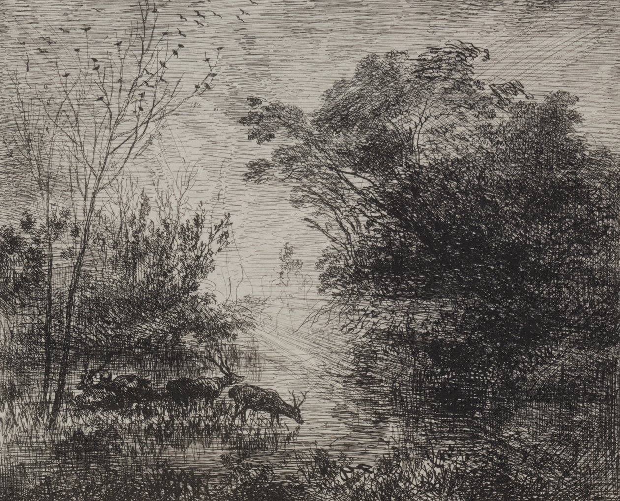 Szarvasok alkotó: Charles Francois Daubigny