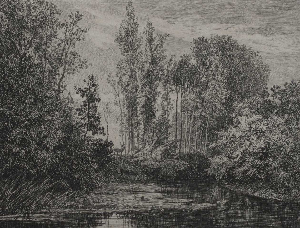 Szarvasok a vízparton alkotó: Charles Francois Daubigny