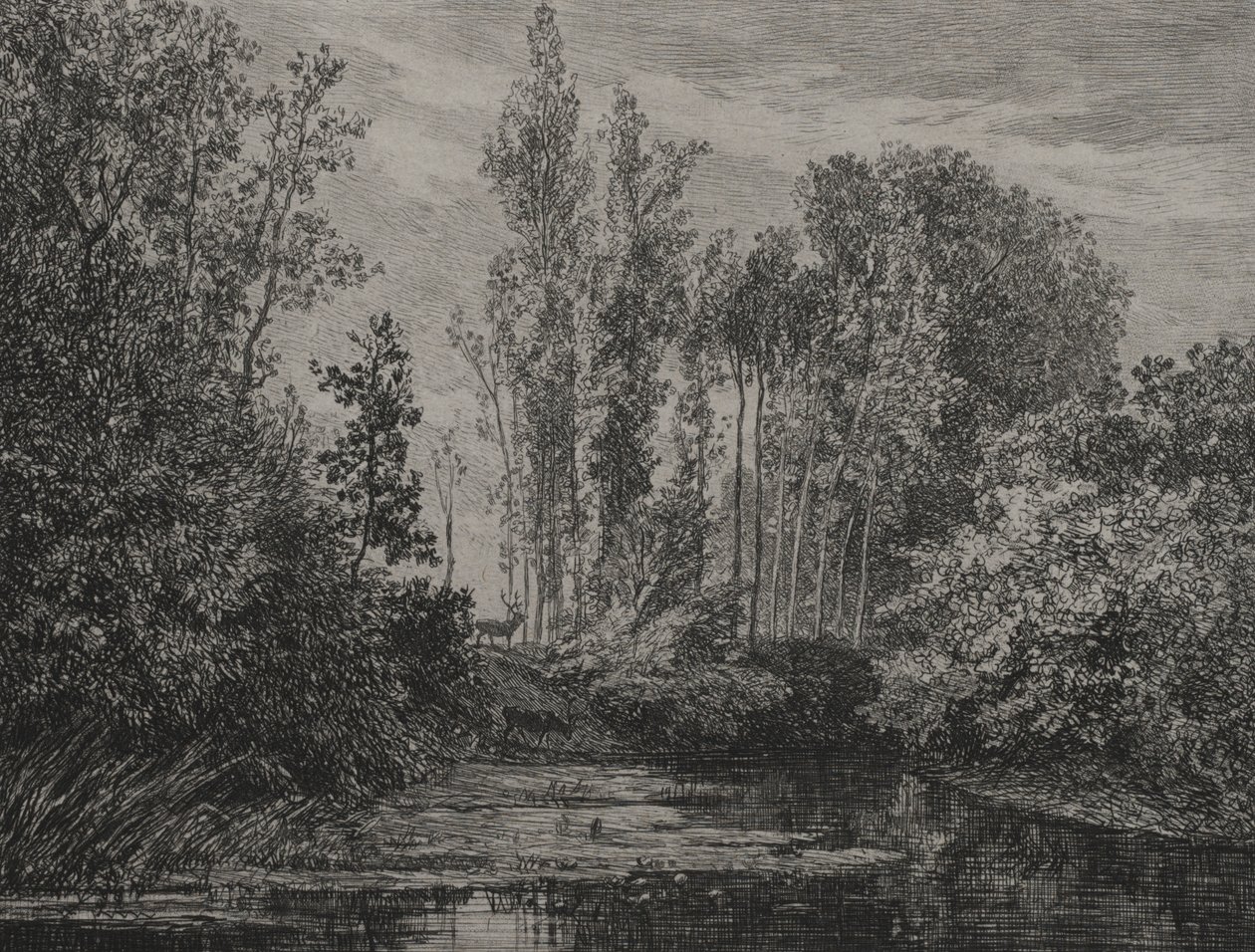Szarvasok a vízparton, 1850. alkotó: Charles Francois Daubigny