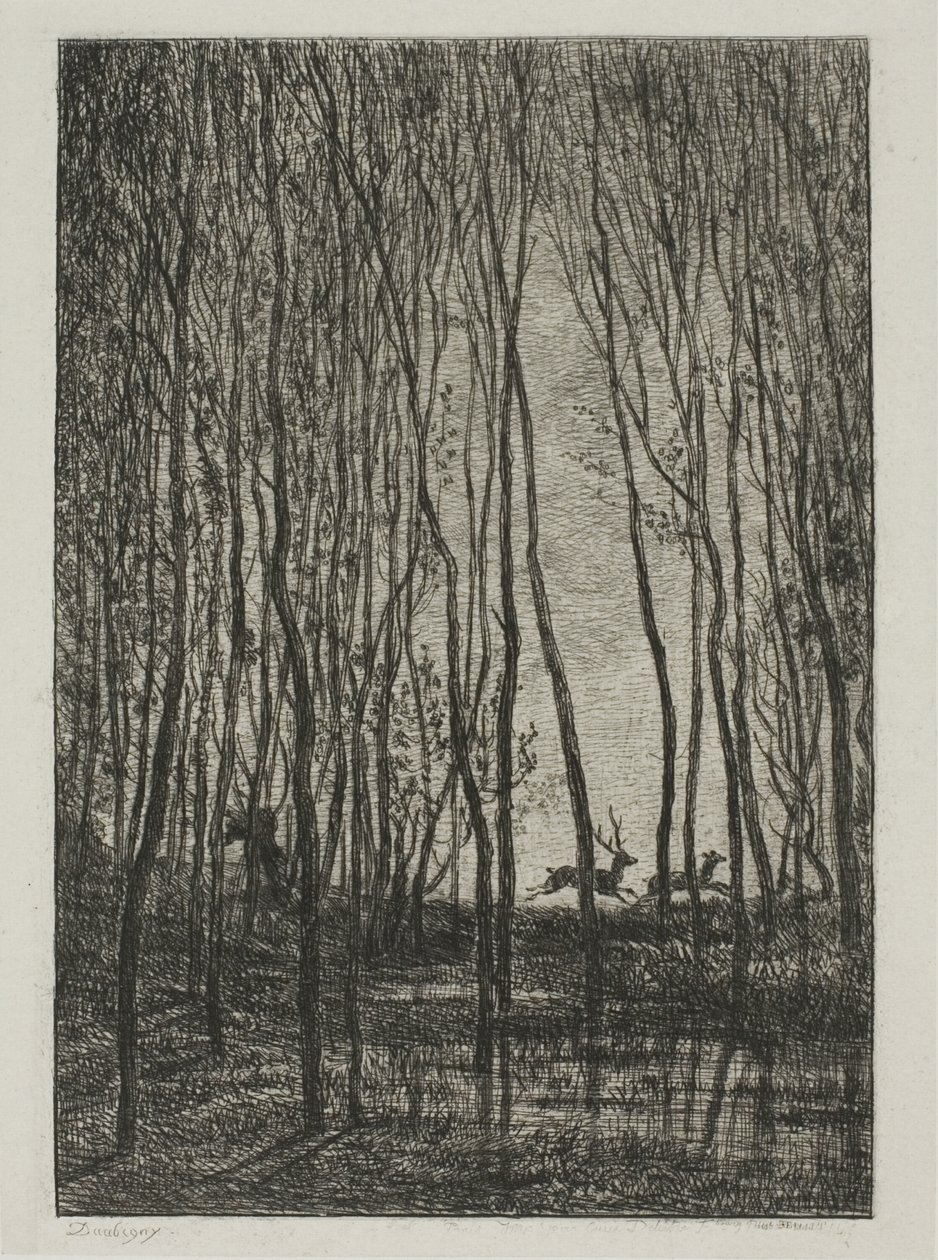 Szarvasok az erdőben alkotó: Charles Francois Daubigny