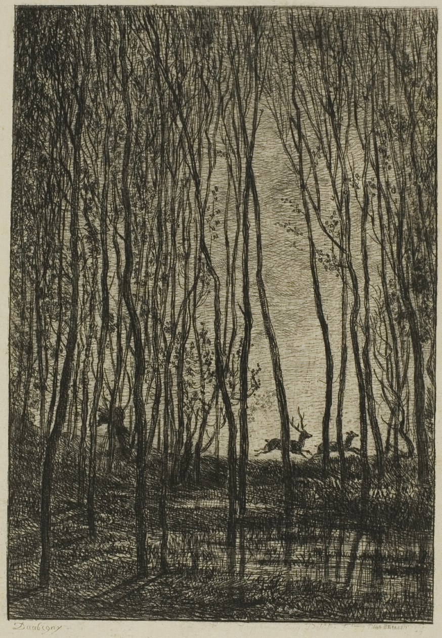 Szarvasok az erdőben alkotó: Charles Francois Daubigny