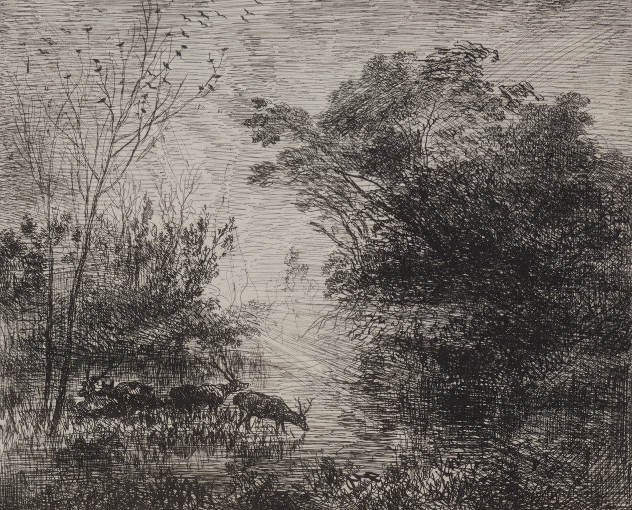 Szarvas, eredeti lenyomat 1862, nyomtatva 1921-ben. alkotó: Charles Francois Daubigny