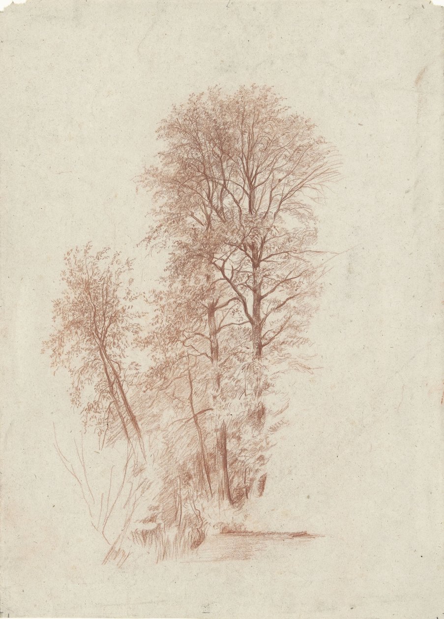 Két karcsú és néhány kisebb falevél tanulmányozása alkotó: Charles Francois Daubigny