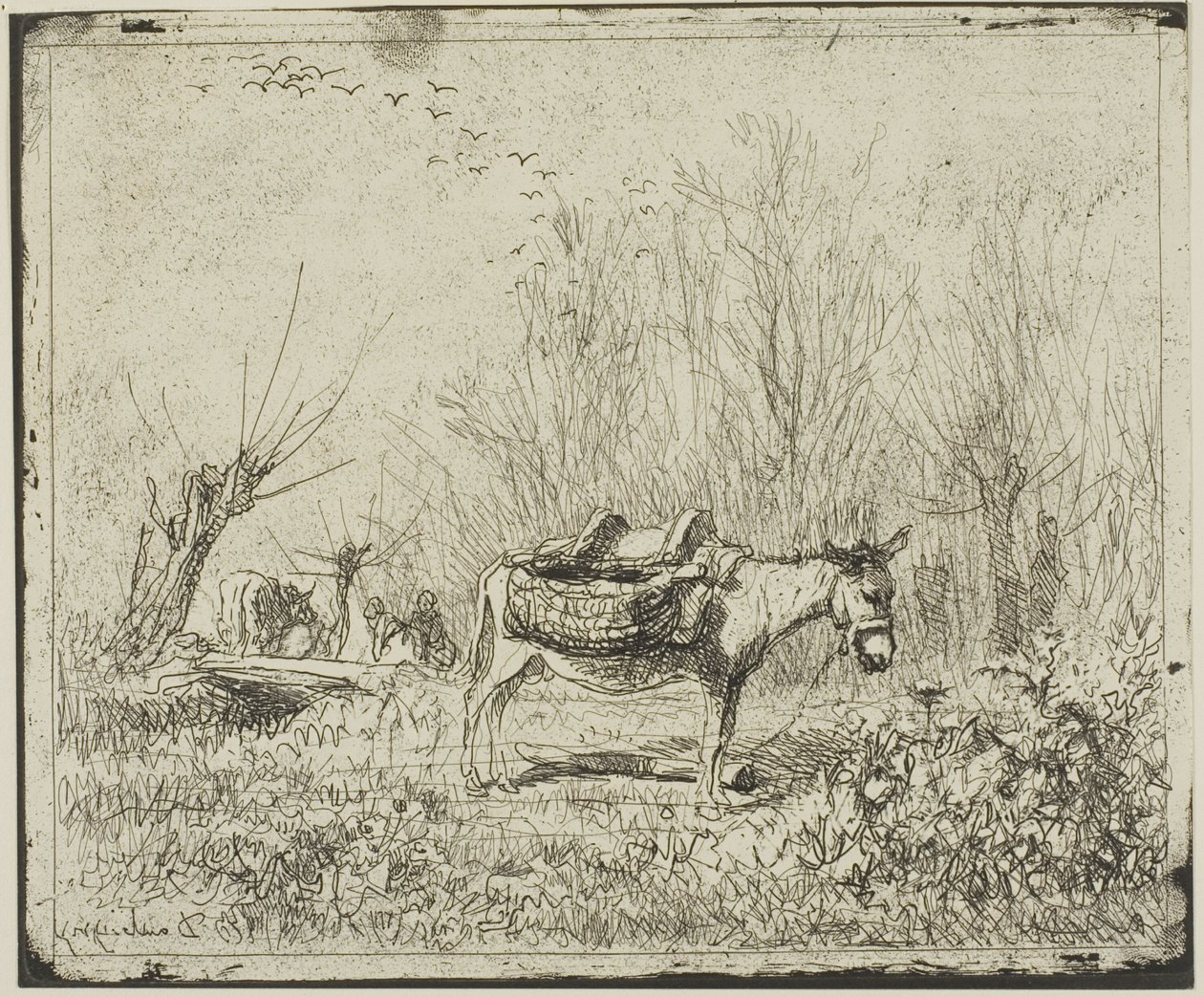 A szamár a réten alkotó: Charles Francois Daubigny