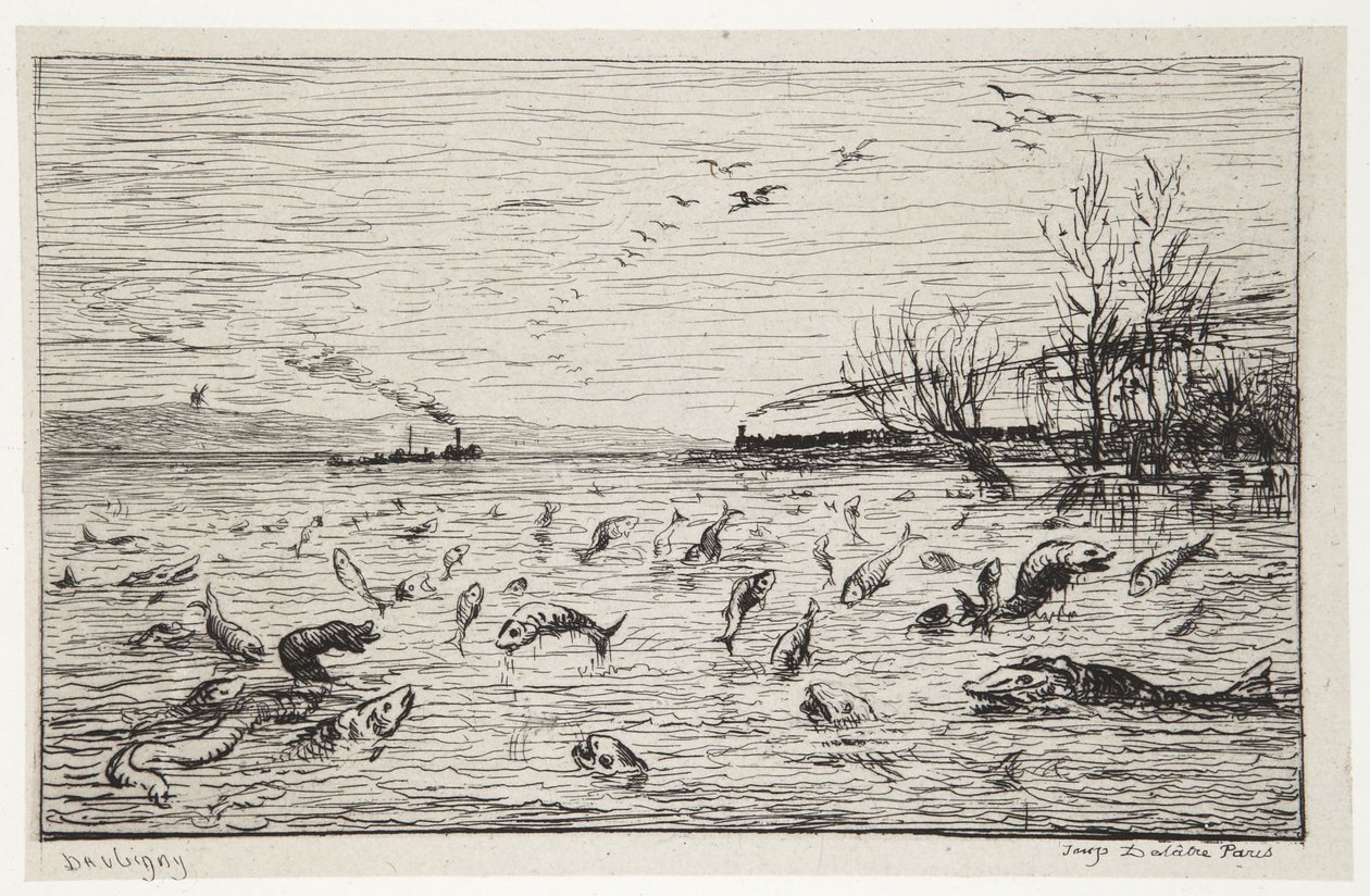 A halak örülnek a kabinfiú távozásának alkotó: Charles Francois Daubigny