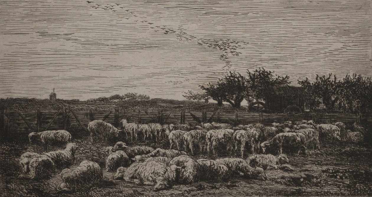 A nagy bárány akol, 1860. alkotó: Charles Francois Daubigny