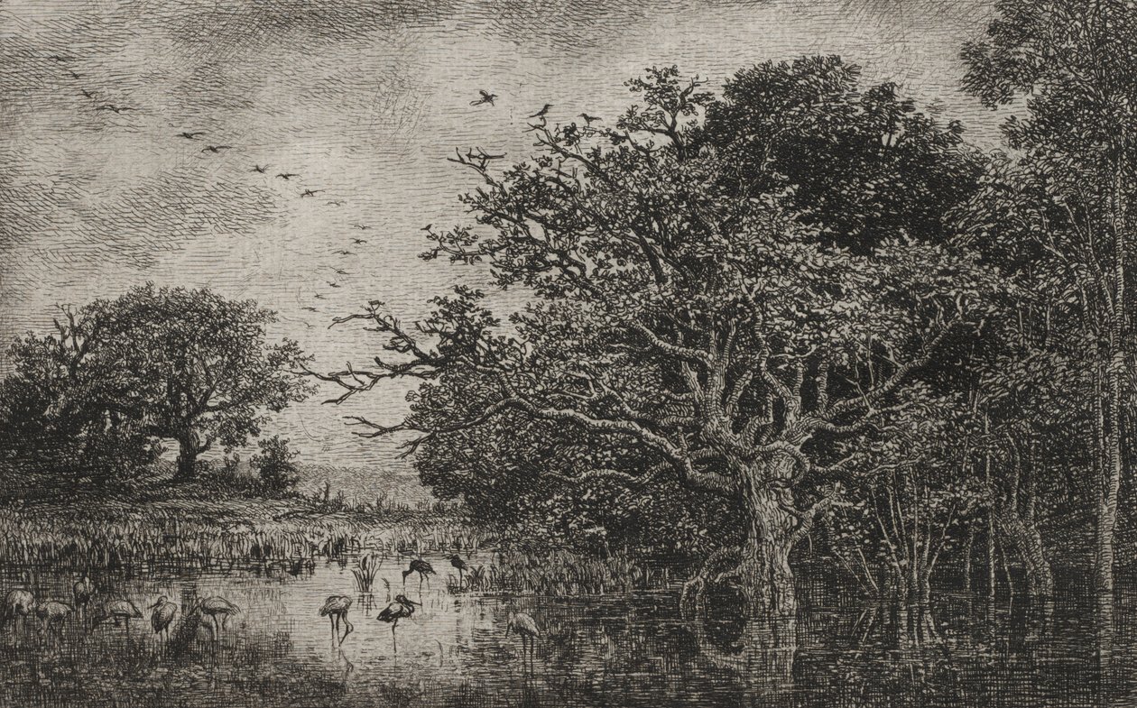 A mocsár gólyákkal, c. 1851. alkotó: Charles Francois Daubigny