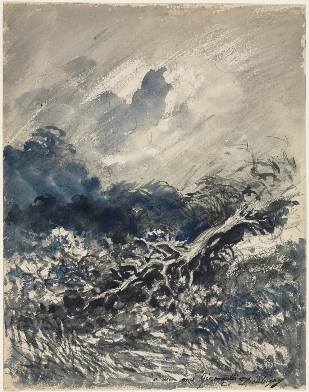 A tölgyfa és a nád, c. 1873 (kék és fekete mosás) alkotó: Charles Francois Daubigny