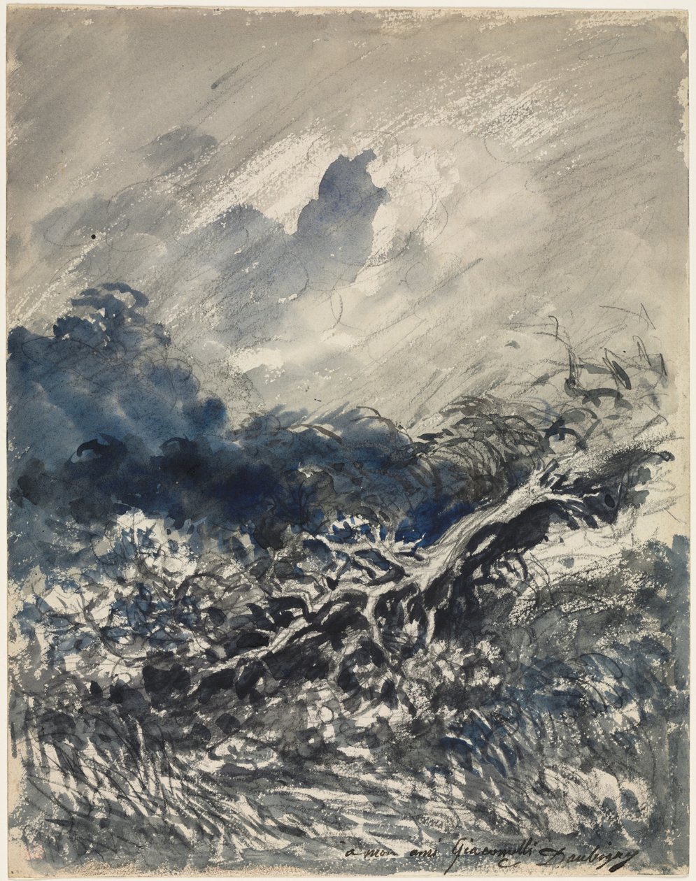 A tölgyfa és a nád, c. 1873. alkotó: Charles Francois Daubigny
