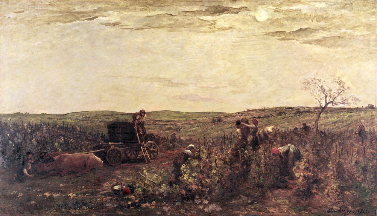 A borszüret Burgundiában, 1863 alkotó: Charles Francois Daubigny