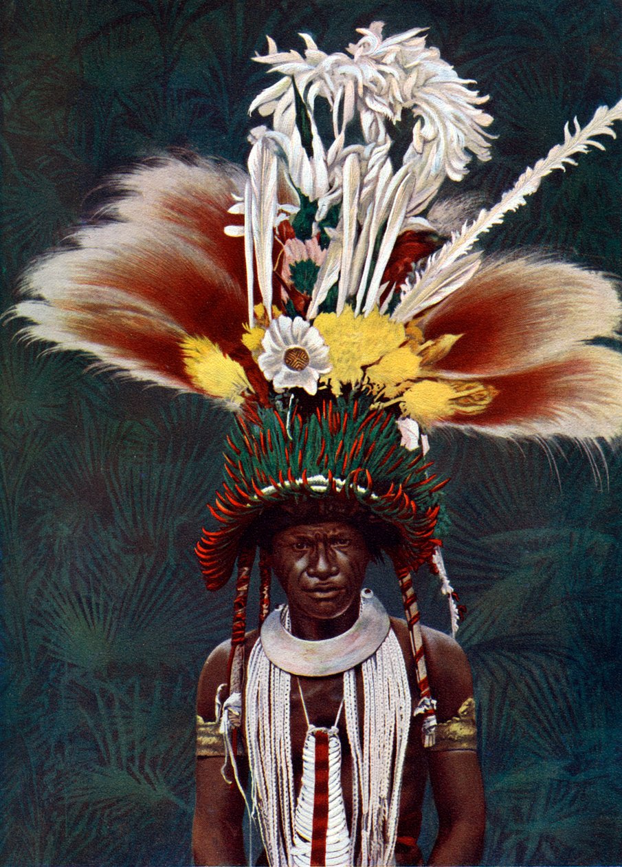 Egy ünnepélyes táncba öltözött Roro főnök, Pápua Új-Guinea, 1920. alkotó: Charles Gabriel Seligman