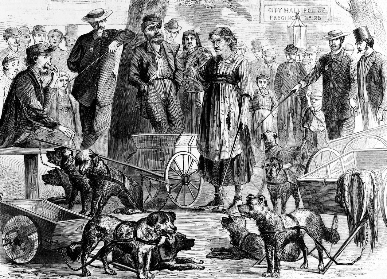 Letartóztatott rongyszedők a New York-i City Hall Parkban, Harpers Weekly, pub. 1867 alkotó: Charles Green