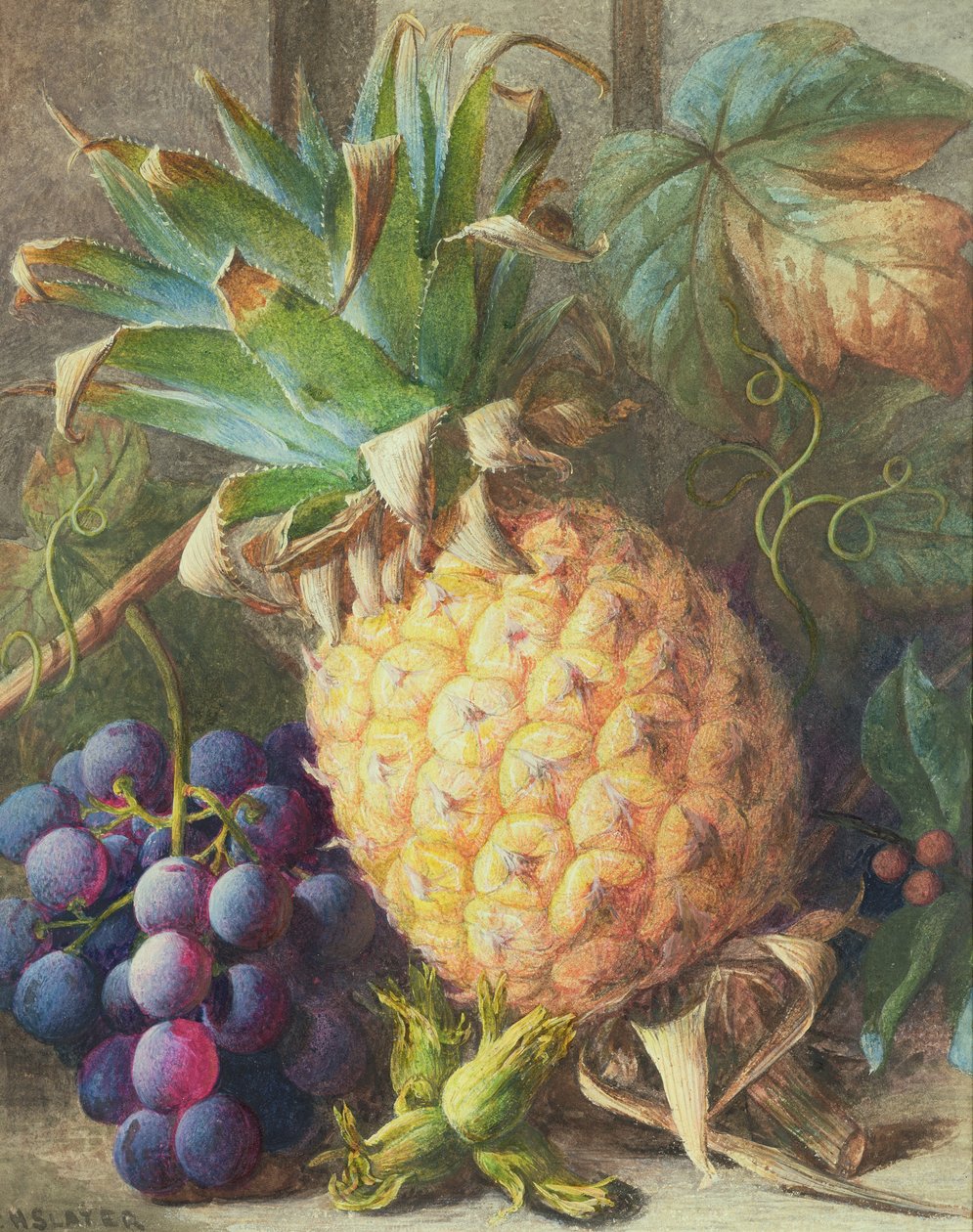 Csendélet egy ananász és a szőlő alkotó: Charles H. Slater