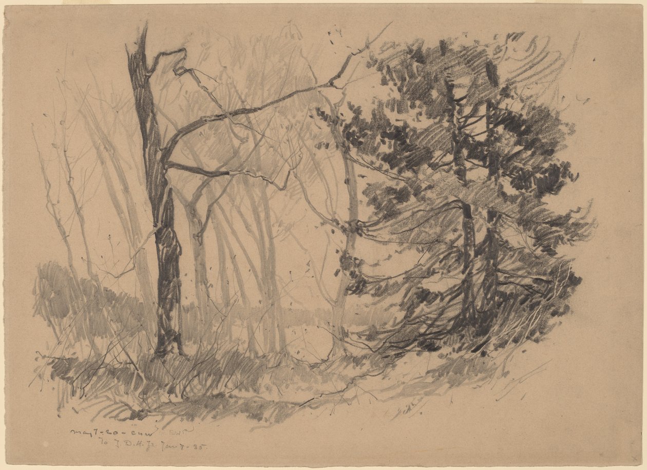 Fa belső alkotó: Charles H. Woodbury