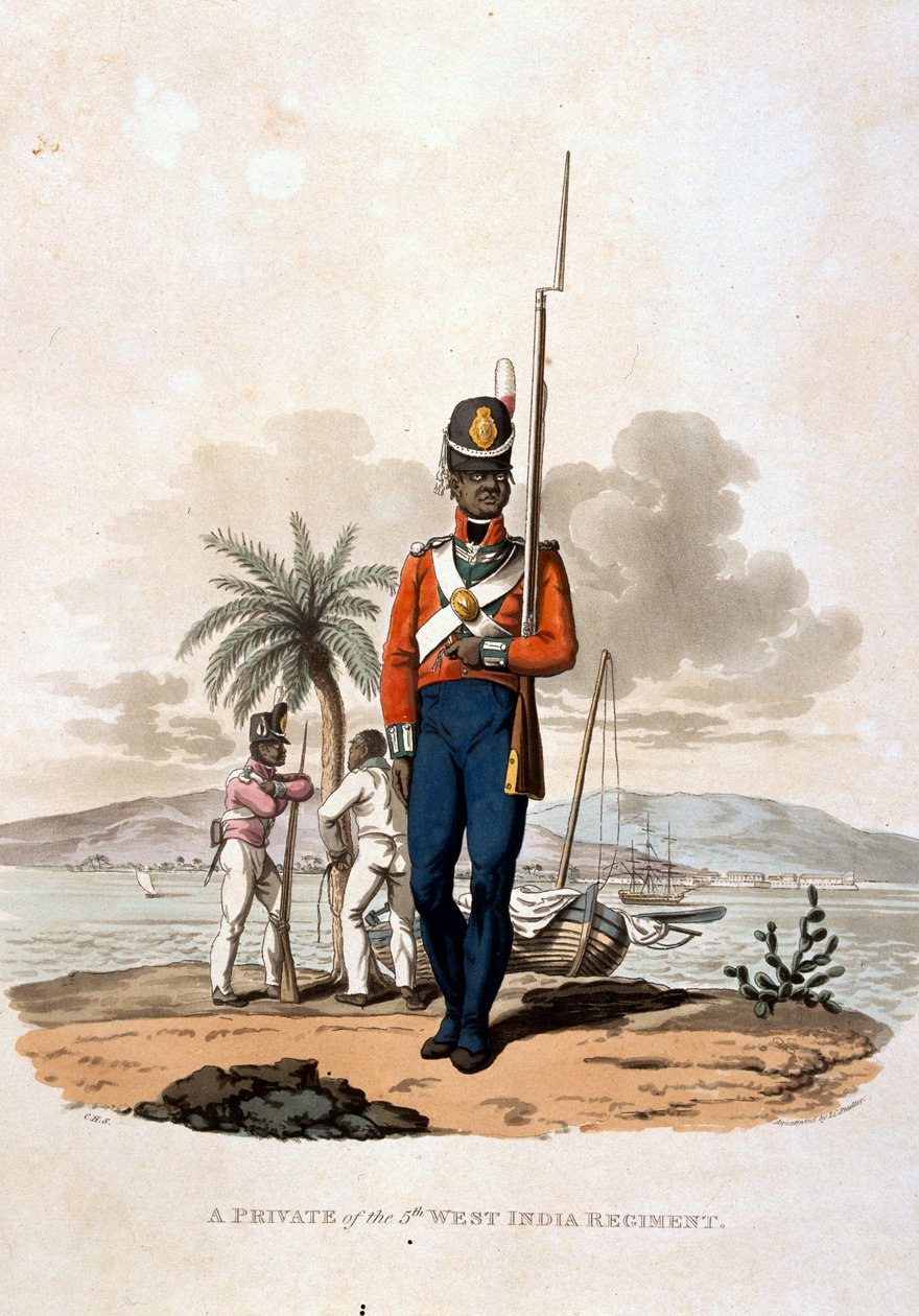 Az 5. nyugat-indiai ezred közkatonaja, a „British Birodalom hadseregének jelmezei, a legutóbbi 1812-es szabályzat szerint”, J. C. Stadler metszete, kiadó: Colnaghi und Co. 1812-15 (colo). alkotó: Charles Hamilton Smith