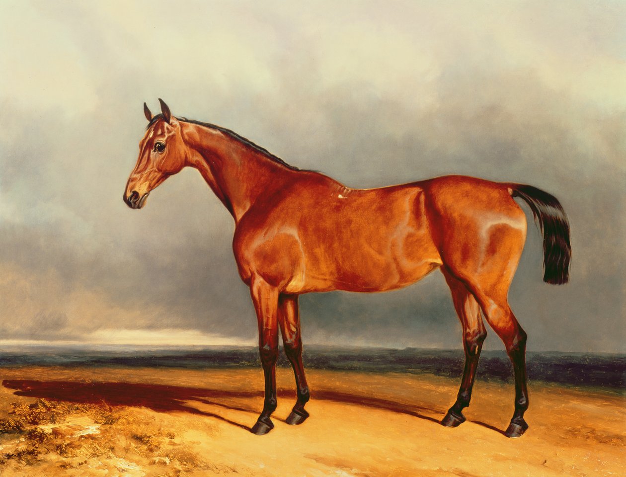 A Bay Hunter alkotó: Charles Hancock