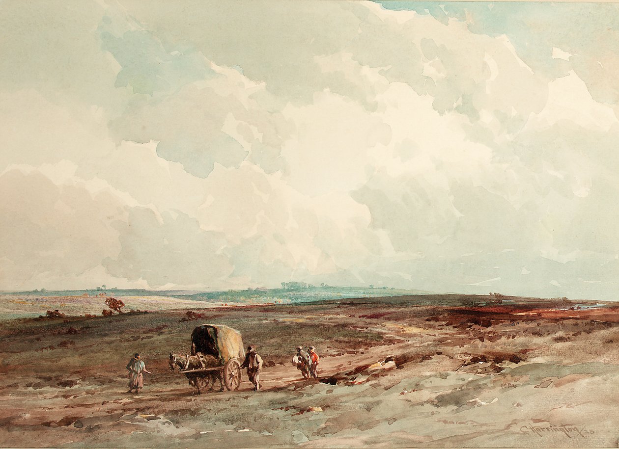 Az Ashdown Forest Reserve-n, 1925 alkotó: Charles Harrington
