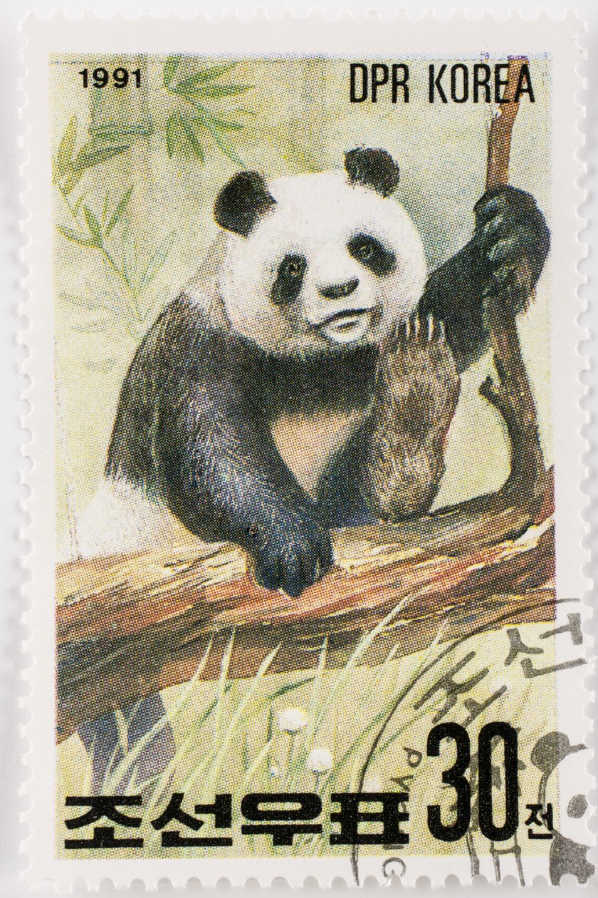Bélyeg/Észak-Korea/Ailuropoda melanoleuca/Grand Panda/Giant Panda alkotó: Augustus Kollner