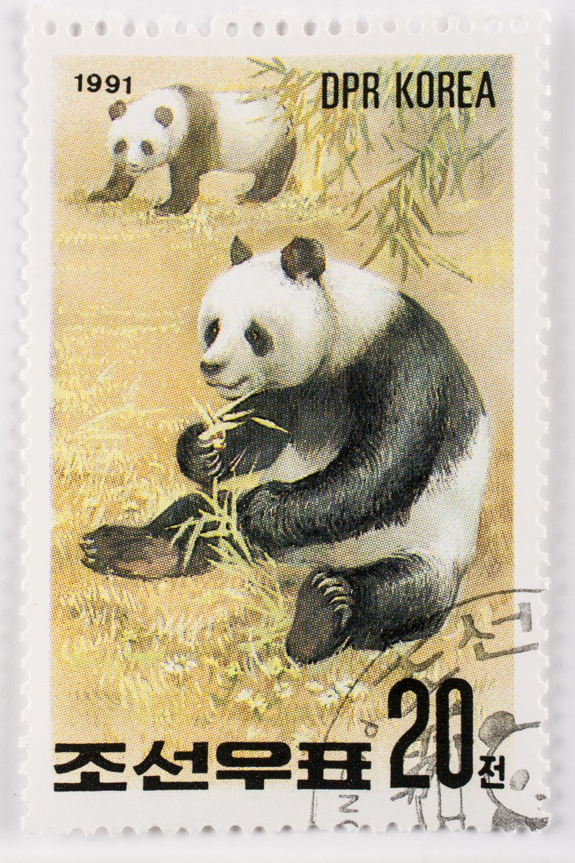 Bélyeg/Észak-Korea/Ailuropoda melanoleuca/Grand Panda/Giant Panda alkotó: Augustus Kollner