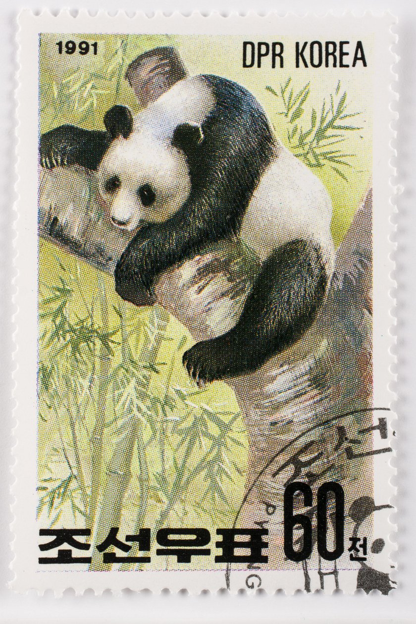 Bélyeg/Észak-Korea/Ailuropoda melanoleuca/Grand Panda/Giant Panda alkotó: Augustus Kollner