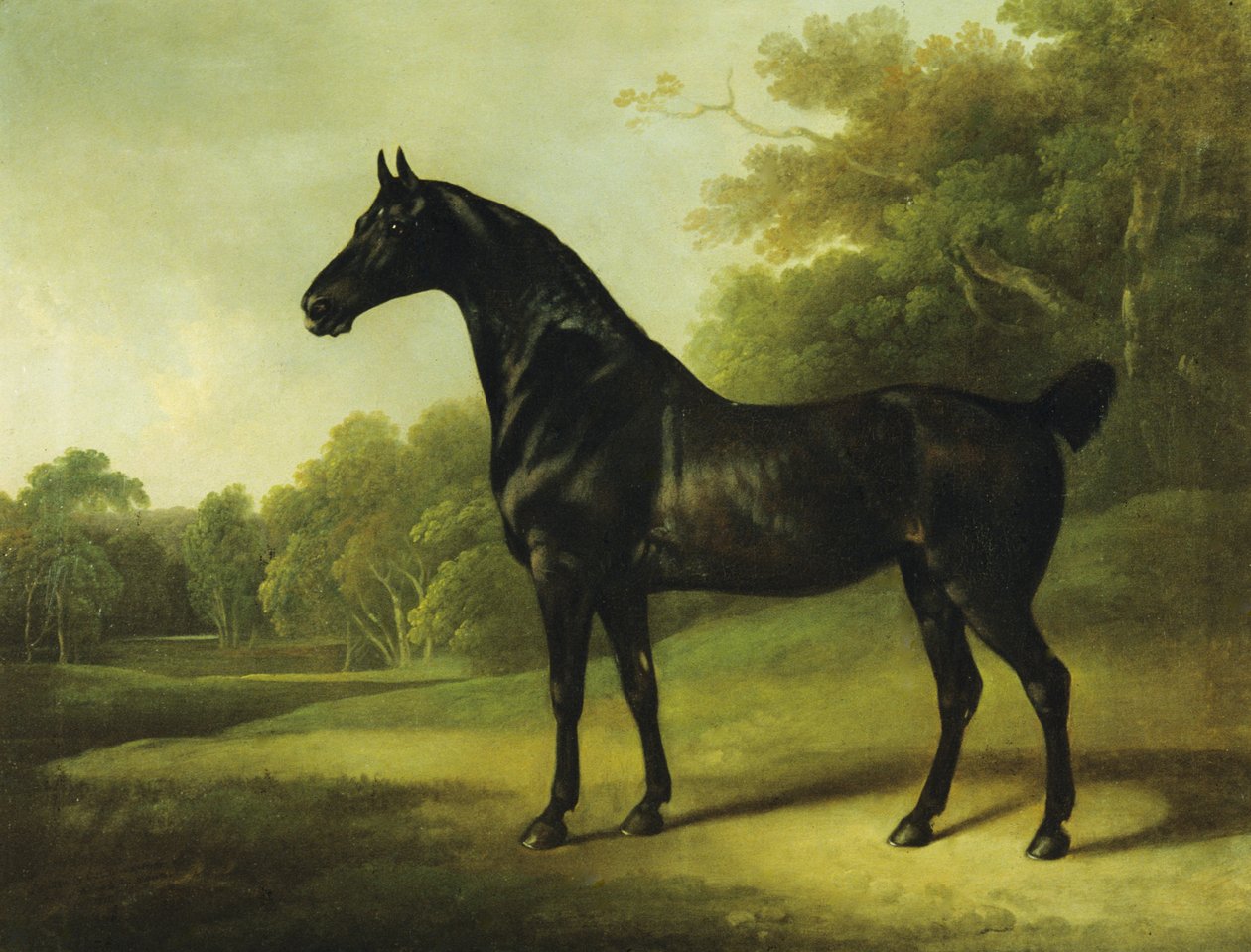 Egy öböl ló erdős tájon alkotó: Charles Henry Schwanfelder