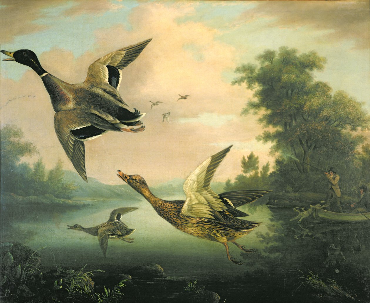 Kacsa lövöldözés alkotó: Charles Henry Schwanfelder