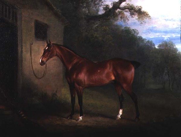 Egy öbölvadász portréja, egy istállóhoz kötve alkotó: Charles Henry Schwanfelder