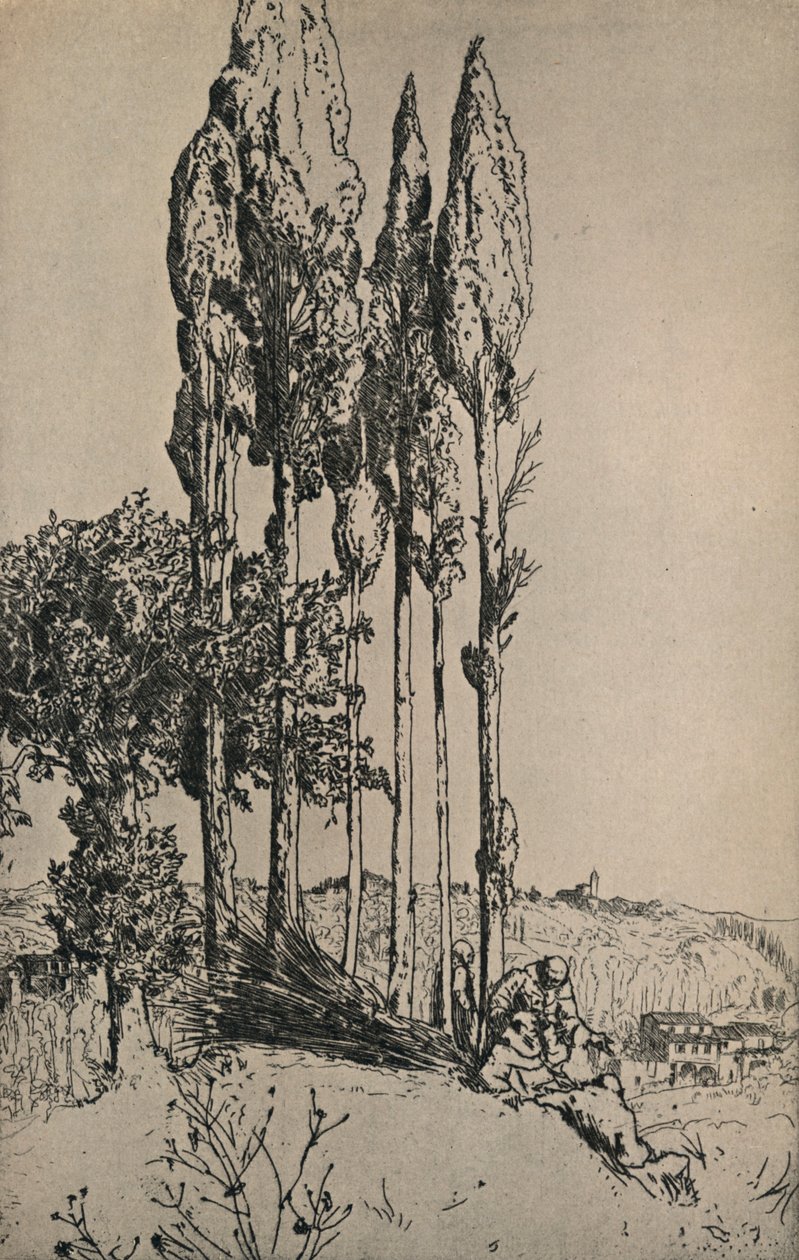 Ciprusfák Siena közelében, 1903 alkotó: Charles Holroyd