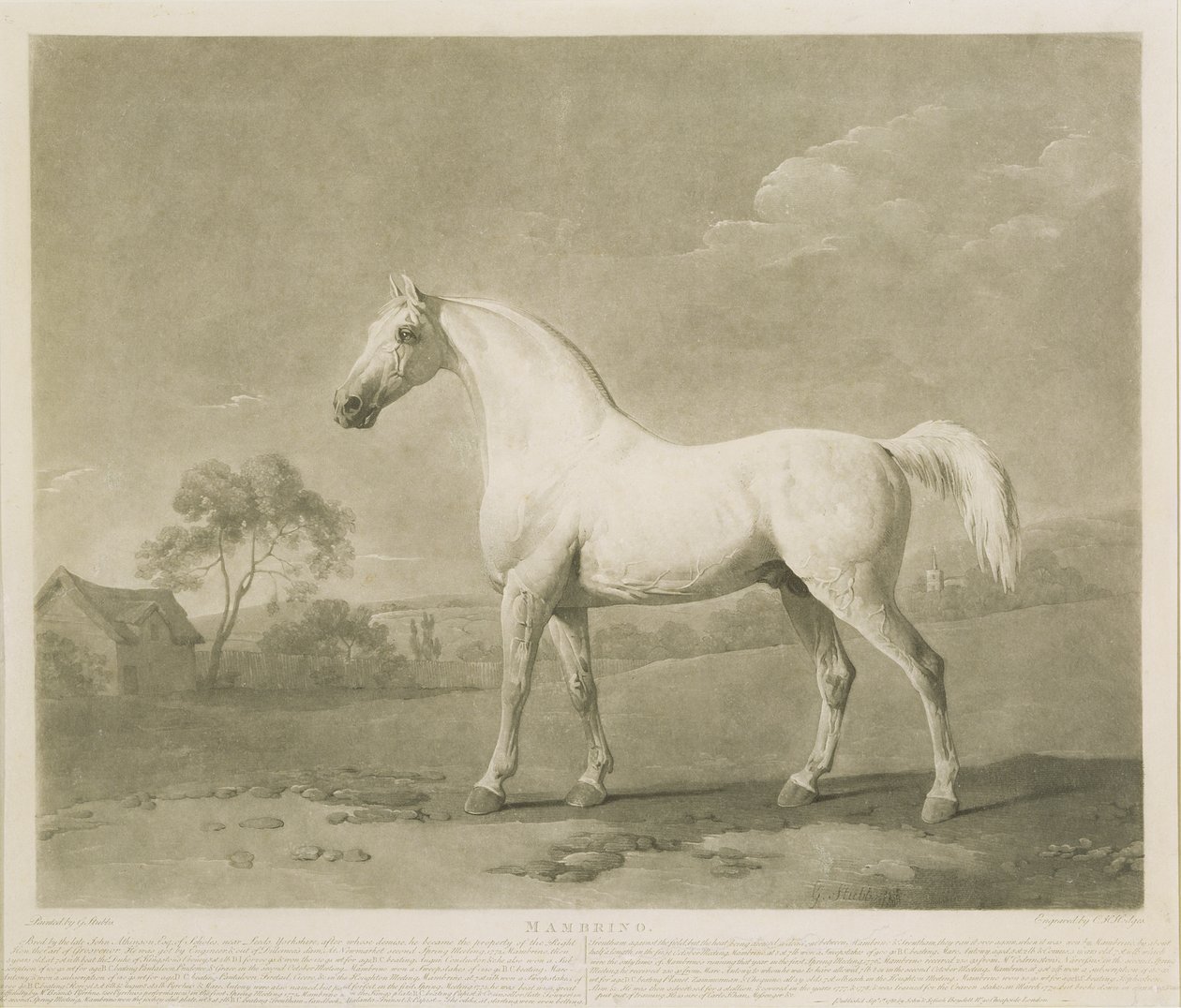 Mambrino, George Stubbs nyomán, 1788 (mezzotinta) alkotó: Charles Howard Hodges