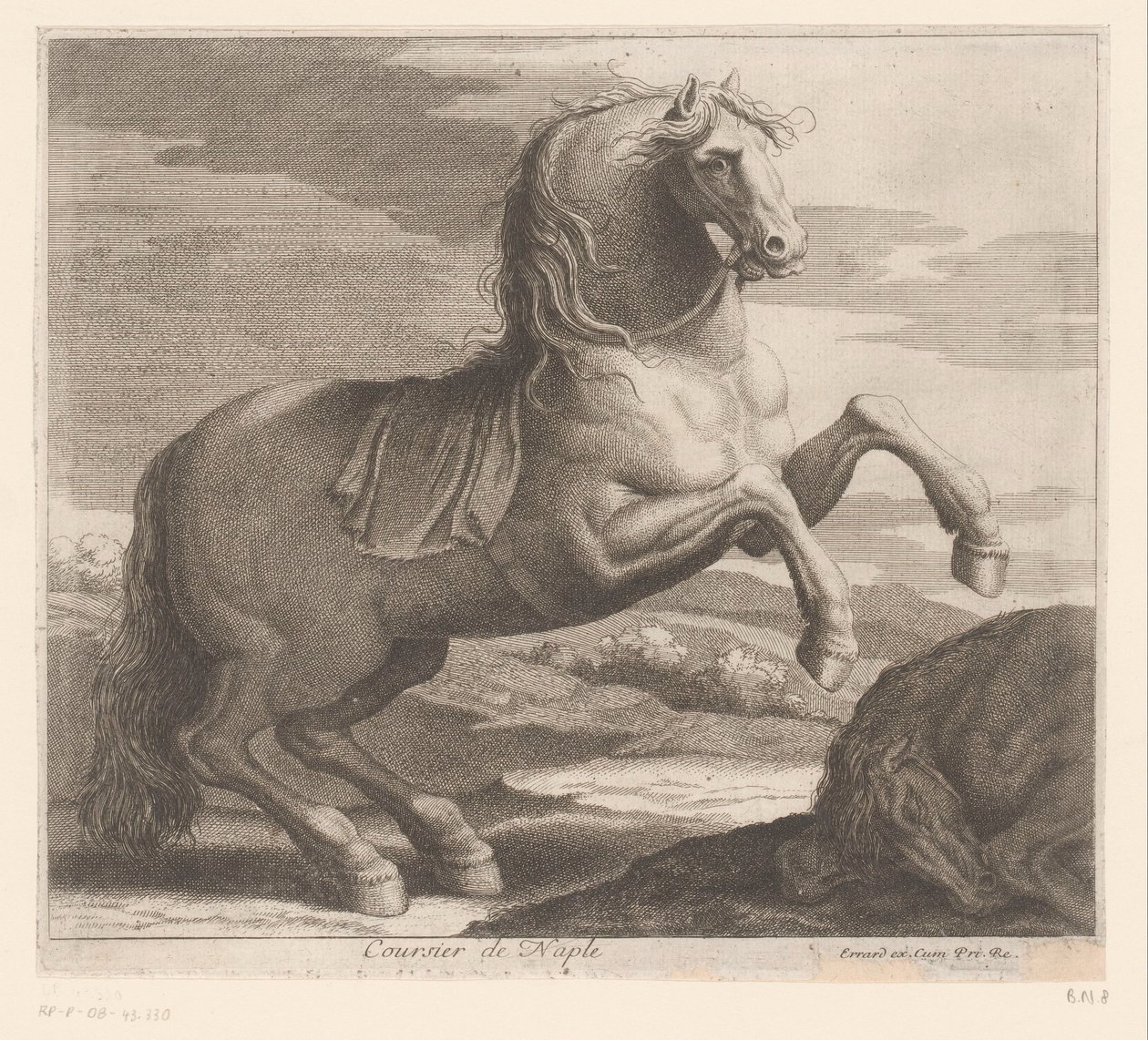 nevelő lovat Coursier de Naples (cím a tárgyon) Állatsorozat (sorozat címe) alkotó: Charles II Errard (attributed to)