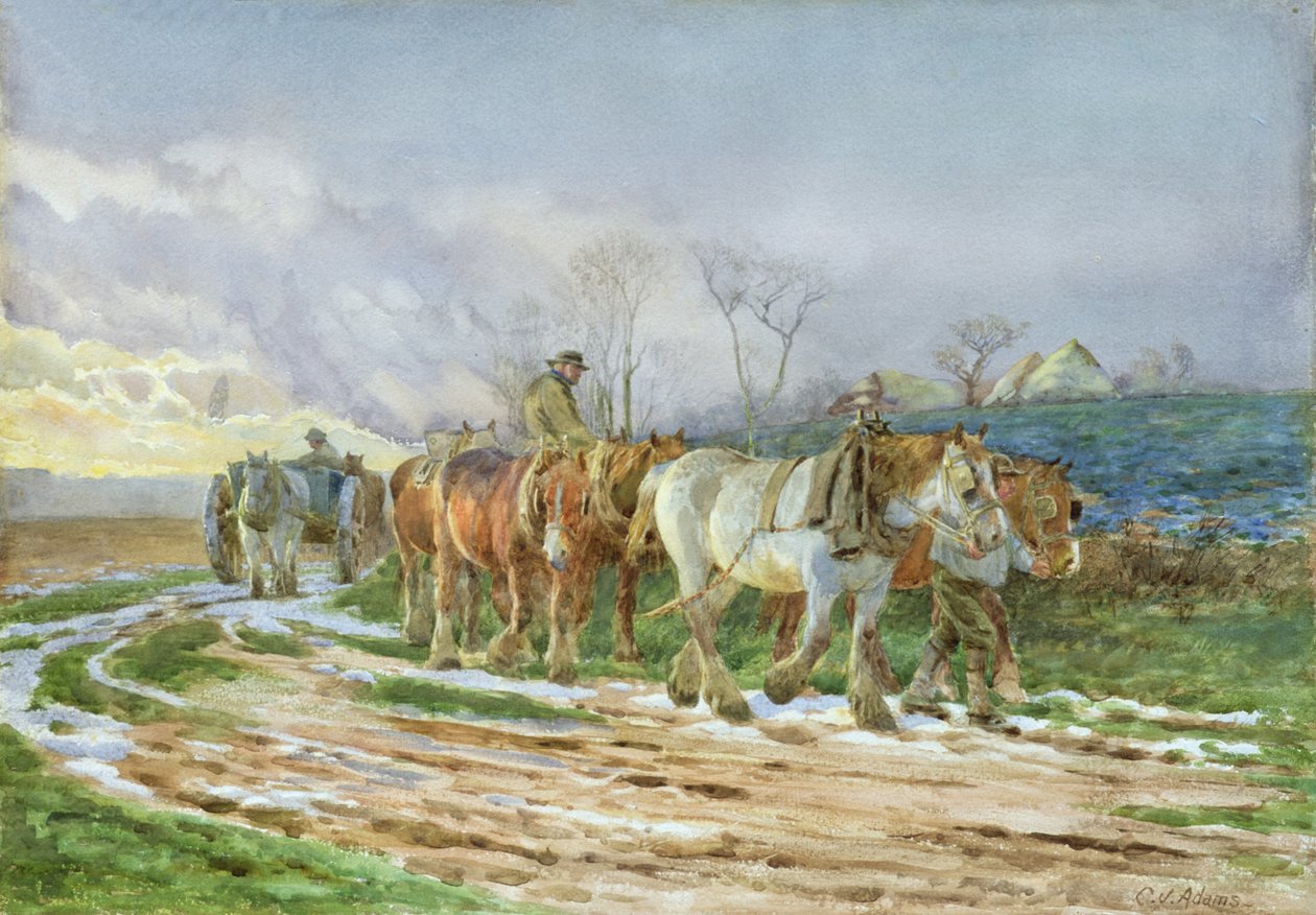Hazafelé alkotó: Charles James Adams